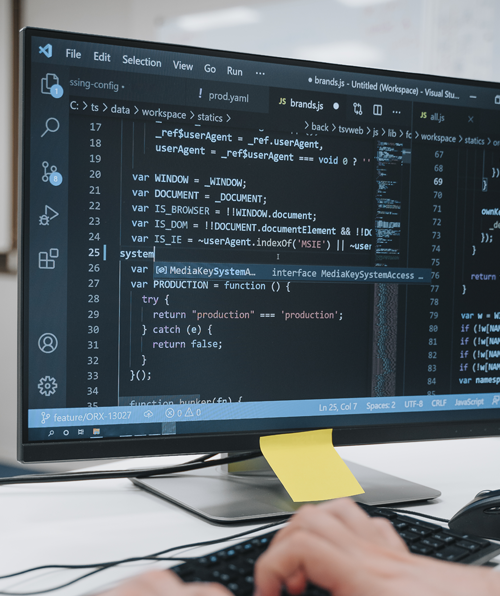 Software Development